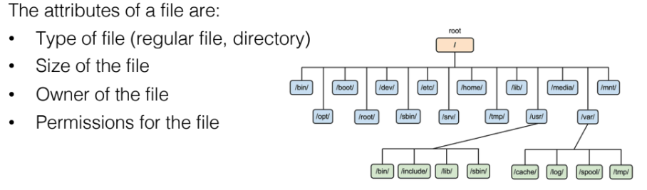 file-system